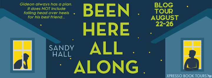 Blog Tour: Been Here All Along by Sandy&nbsp;Hall